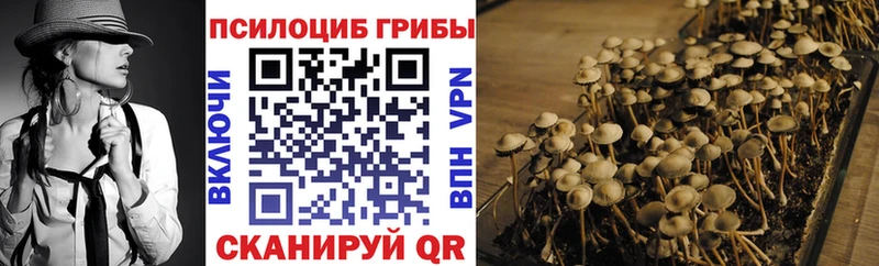 Галлюциногенные грибы MAGIC MUSHROOMS Шацк