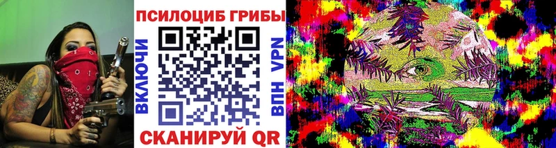 Псилоцибиновые грибы Psilocybine cubensis  kraken рабочий сайт  Шацк 